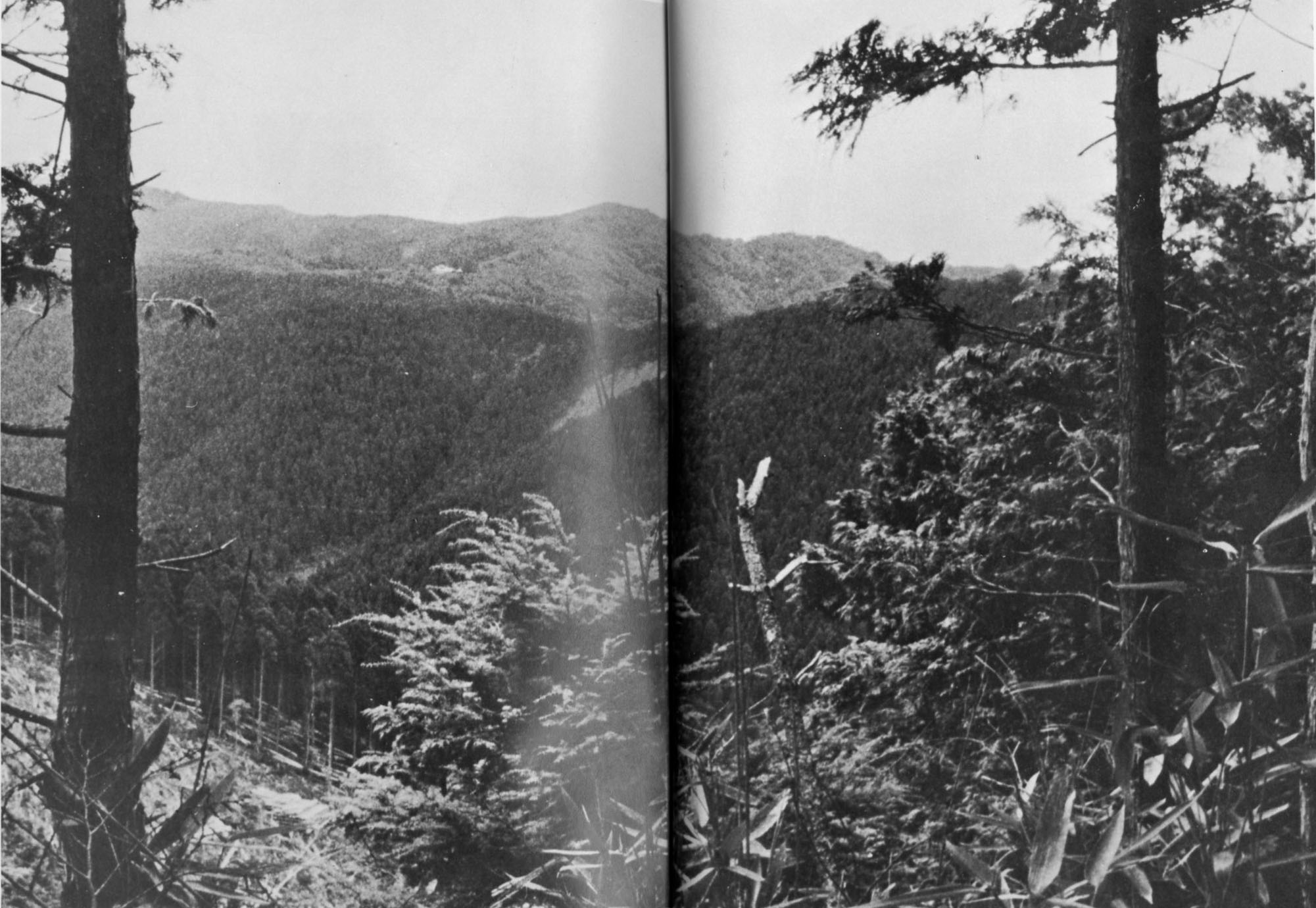 和歌山県最高峰の護摩壇山