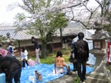 木祭2010