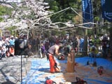 木祭2010